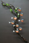 Branche de laminaire