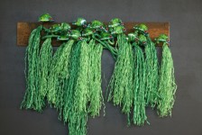 Citrons verts