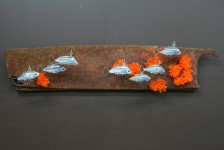 Fleurs de coraux