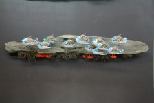 Les caméléons
