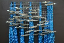 Les anchois