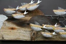 Les coralliens