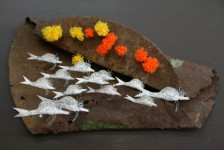 Poissons d'Epave