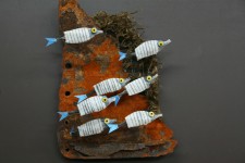 Poissons  barres