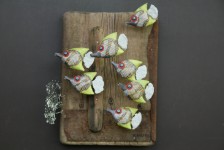 Poissons anges