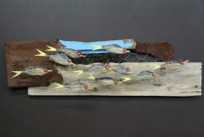 Poissons ctiers