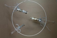Cercle des seiches