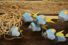 Papillons  ocelles